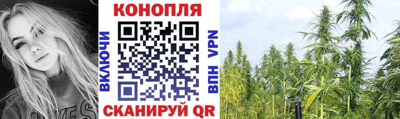 блэк спрут как войти  Верхотурье  Бошки Шишки OG Kush 